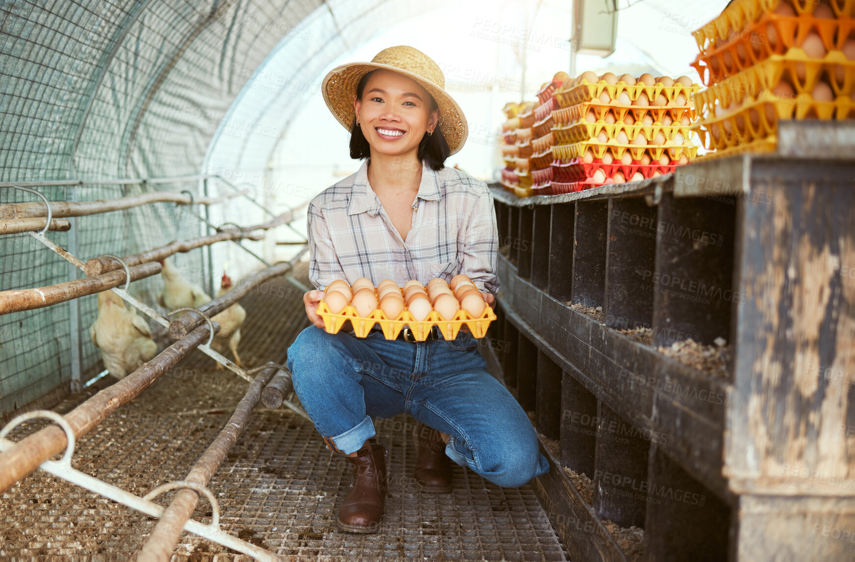 Buy stock photo Asian woman, chicken eggs or tray for farming sales, agriculture export or sustainability growth success. Portrait, smile or happy poultry farmer and dairy product, protein bird stock or healthy food