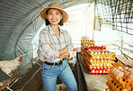 Chicken, eggs and agriculture with asian woman on farm for sustainability, free range or food. Organic, livestock and poultry with portrait of girl farmer in hangar for production, market and farming