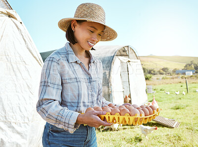 Buy stock photo Woman, farming and chicken eggs for nutrition on countryside farm, food sustainability and organic agriculture. Happy poultry farmer, eco friendly environment and healthy free range or protein product