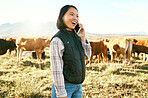 Cow, woman or farmer on a phone call in nature talking, communication or speaking of cattle farming production. Success, agriculture or happy worker networking or in conversation about cows or beef