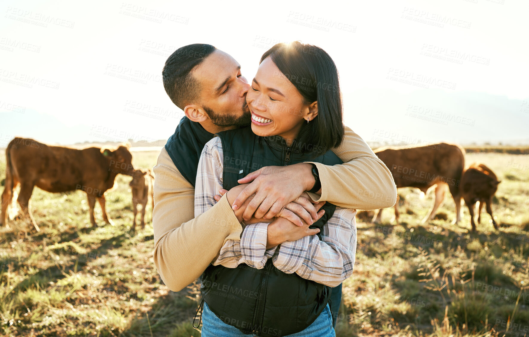 Buy stock photo Love, cow and agriculture with couple on farm for bonding, kiss or affectionate hug. Sustainability, production and cattle farmer with man and woman in countryside field for dairy, livestock or relax