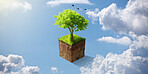 Sustainable, agriculture and eco friendly tree in the sky for earth day, clean energy and nature. Animation, ecology and green plant and leaves for sustainability with cloud and blue sky background.