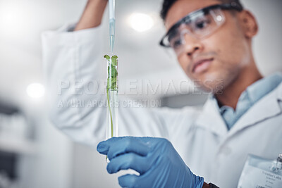 Buy stock photo Scientist, test tube and plant analysis working in laboratory for science innovation, agriculture research or ecology pharmacist study. Doctor, chemistry expert and botanical development in lab