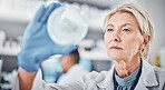Science, research and sample with a doctor woman at work in a biological lab for innovation or development. Healthcare, medicine and study with a female scientist working on plants in a laboratory
