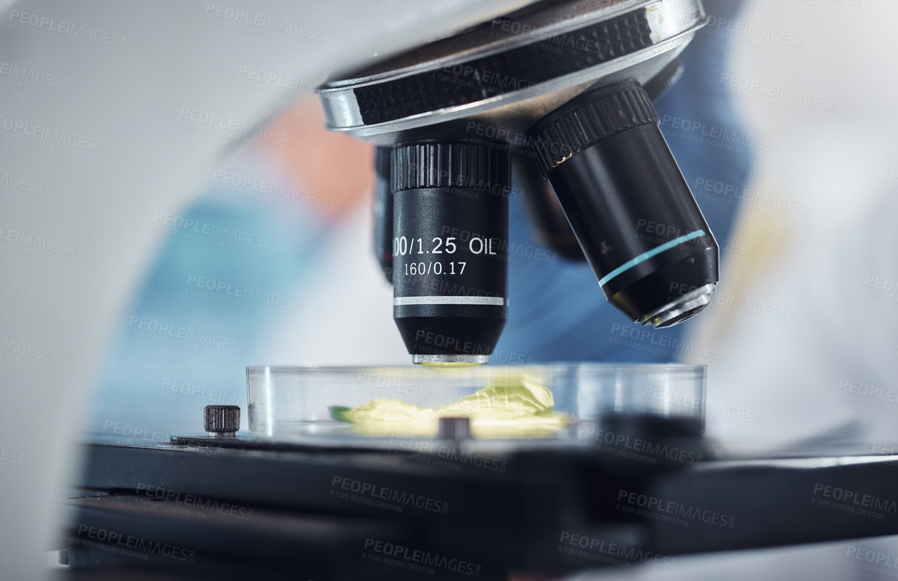 Buy stock photo Science, research and plant sample on microscope for exam, lab test and study for agriculture. Laboratory, biotechnology and close up of leaf in glass for medical development, innovation and medicine