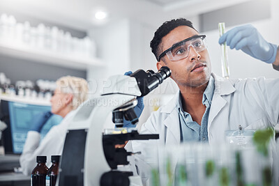 Buy stock photo Black man, scientist and lab with test tube research, microscope and focus for agriculture study with plant. Science team, glass vial and plants for medicine, pharma and stop virus, bacteria or germs