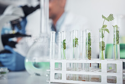 Buy stock photo Science, laboratory or plants in test tube for medicine, healthcare knowledge or natural growth research. Agriculture, leaf or green herbs in chemical liquid or water for biotechnology development