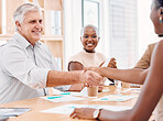 Handshake, hiring or CEO shaking hands with black woman for job interview success meeting in business office. Partnership, thank you or happy senior hr manager with hand shake for congratulations 