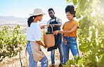 Wine Farm, farmer and worker giving a woman a basket for her spring outdoor field picnic. Wellness, agriculture and eco friendly people standing in a green, agro and sustainability vineyard in nature