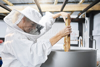 Buy stock photo Beekeeping, process and beekeeper with honeycomb manufacturing, sustainability and factory storage. Warehouse, agriculture and mature worker with a machine for the production of honey in a plant