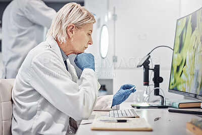 Buy stock photo Science, research and sample in lab with a doctor woman working on scientific analysis. Experiment, slide and a female scientist in laboratory with data, vision and future in medical innovation
