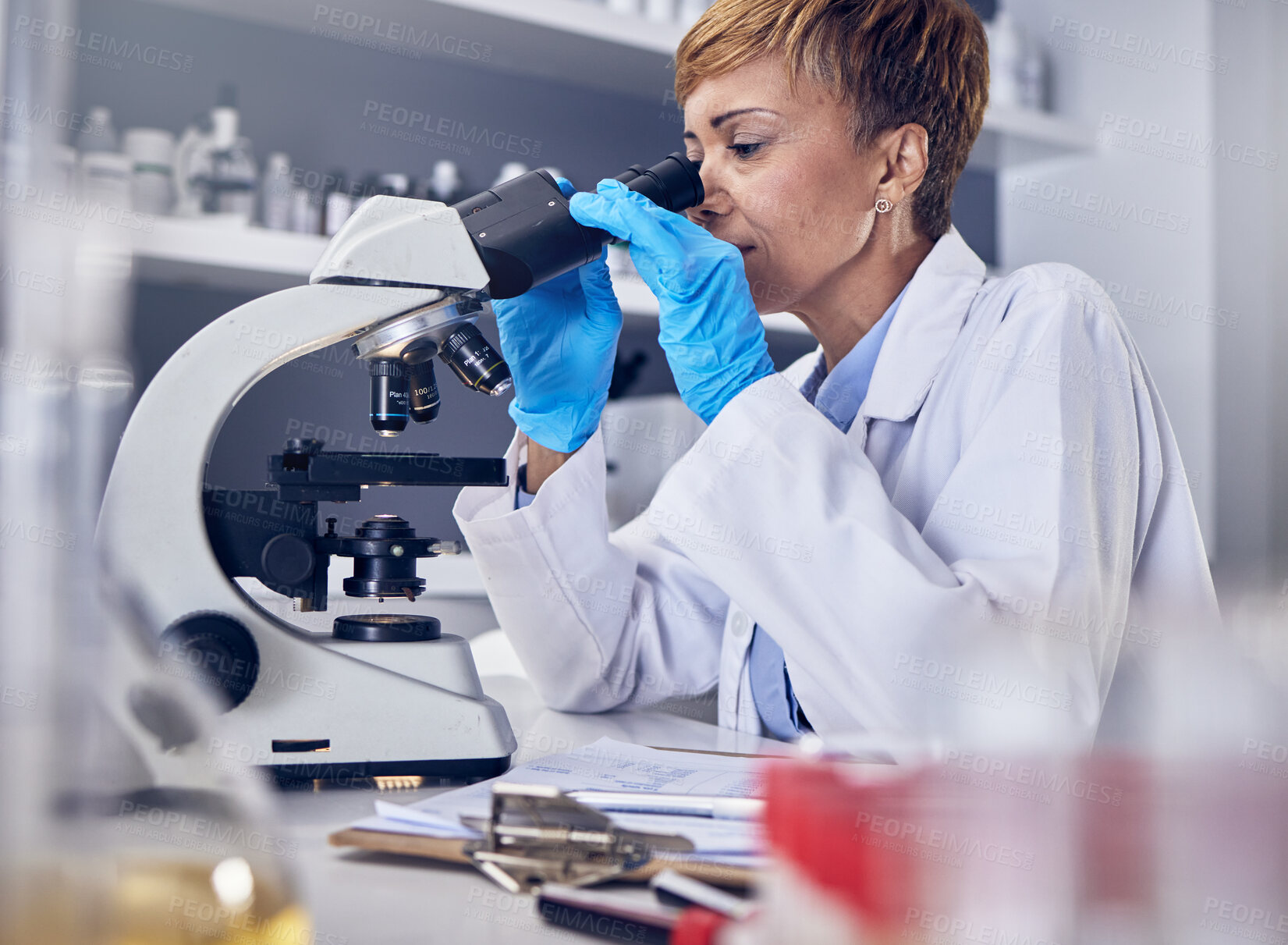 Buy stock photo Science, laboratory and black woman with microscope, research for vaccine development. Healthcare, medical innovation and senior scientist woman in hospital lab looking at pharmaceutical test results