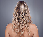 Hair, beauty and style with a model woman in studio on a gray background to promote keratin treatment. Curly hairstyle, haircare and back with a female posing for natural care for strong roots