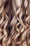 Beauty, hair care and hair closeup of woman in studio after salon treatment for growth, texture or balayage. Wellness, wavy hair style and macro of female model with long, healthy and beautiful hair.