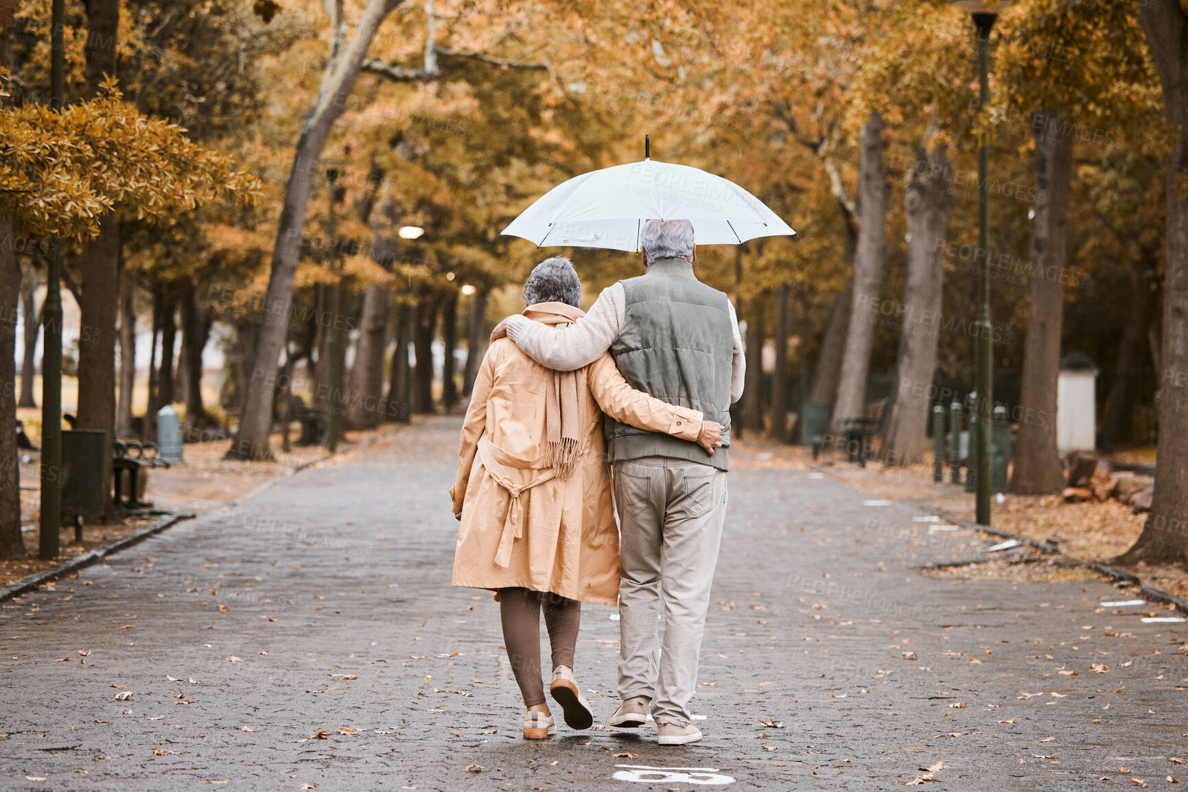 Buy stock photo Elderly, couple walk in park with umbrella and fresh air, outdoor in nature in fall for exercise and retirement together. Hug, love and care with trees, senior man and woman in New York back view.
