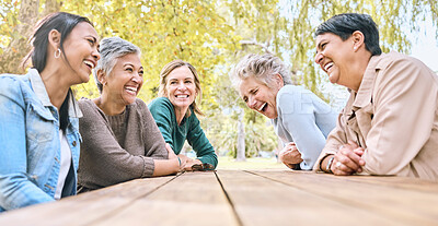 Buy stock photo Park table, friends and women laughing at funny joke, crazy meme or comedy outdoors. Comic, happy and group of senior females with humor bonding, talking and enjoying quality time together in nature.