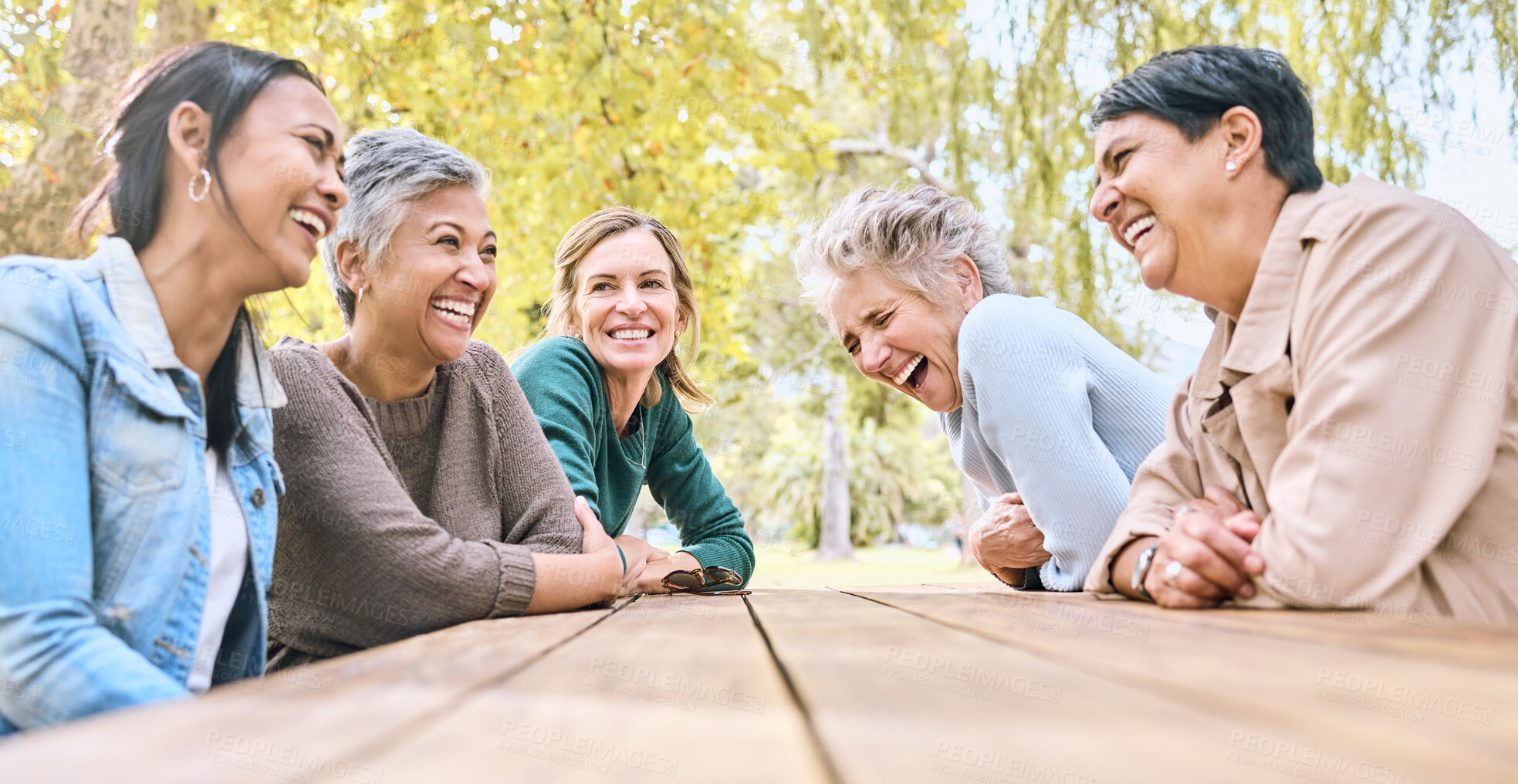 Buy stock photo Park table, friends and women laughing at funny joke, crazy meme or comedy outdoors. Comic, happy and group of senior females with humor bonding, talking and enjoying quality time together in nature.