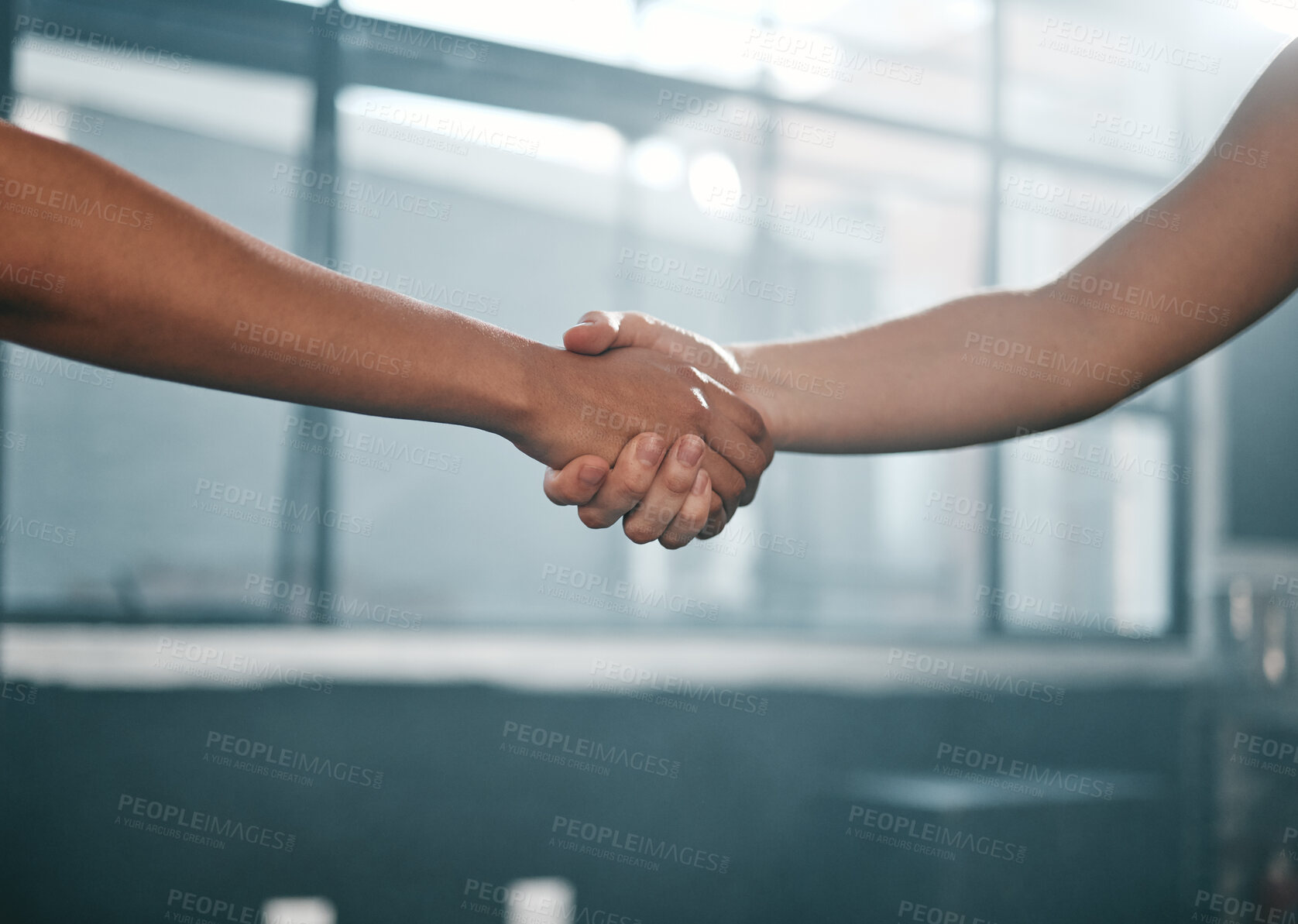 Buy stock photo Fitness, partnership or people handshake at gym for team work, trust or support after workout or exercise. Community, friends or healthy sports athletes shaking hands after training collaboration