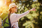 Happy woman, backpack or pointing in nature travel, sightseeing park or bird watching adventure in trees forest. Smile, tourist and direction hand in hiking location, Canada woods or interface search