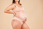 Woman, body or holding pregnancy stomach in underwear on studio background protection, love or baby support. Person, pregnant or touching belly in growth check, future planning or healthcare wellness