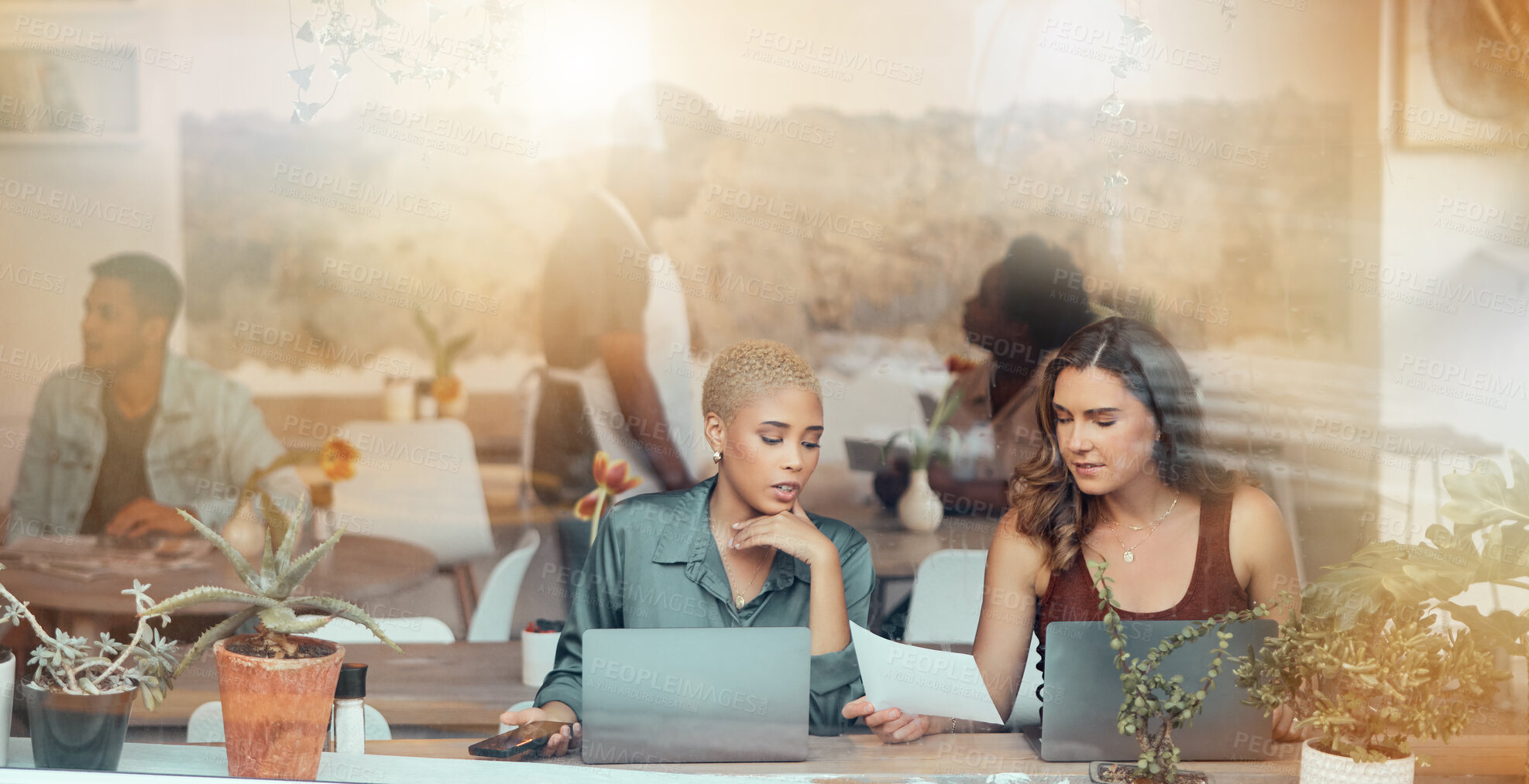 Buy stock photo Meeting, laptop and business women in cafe window for b2b conversation, discussion and networking. Communication, teamwork and female workers working on project ideas, strategy report and research