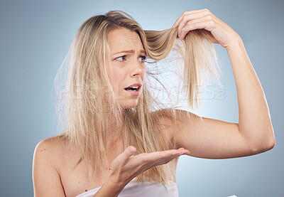 Buy stock photo Hair care, stress and shocked woman in studio isolated on a gray background. Beauty, surprised and female model sad, angry and frustrated with hairloss damage, dry split ends and messy hairstyle.