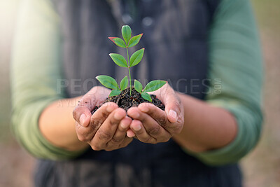 Buy stock photo Earth day, nature plant or hands of person with new tree life, green leaf or support agriculture sustainability growth. Fertilizer soil, dirt or environment charity volunteer with sustainable sapling