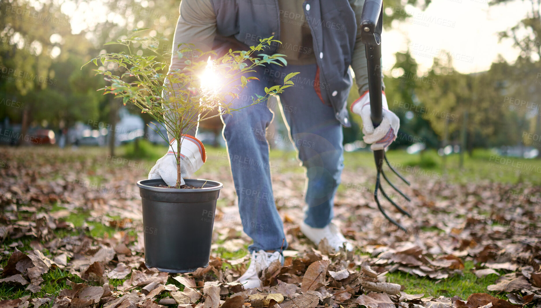 Buy stock photo Agriculture, plant and agro person gardening in a park or field with a pitchfork and equipment. Eco friendly, environmental and gardener planting organic greenery in sustainable garden in countryside