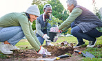 Tree planting, community service and volunteering group in park, garden and nature for sustainable environment. Climate change, soil gardening and earth day project for growth, care and green ecology