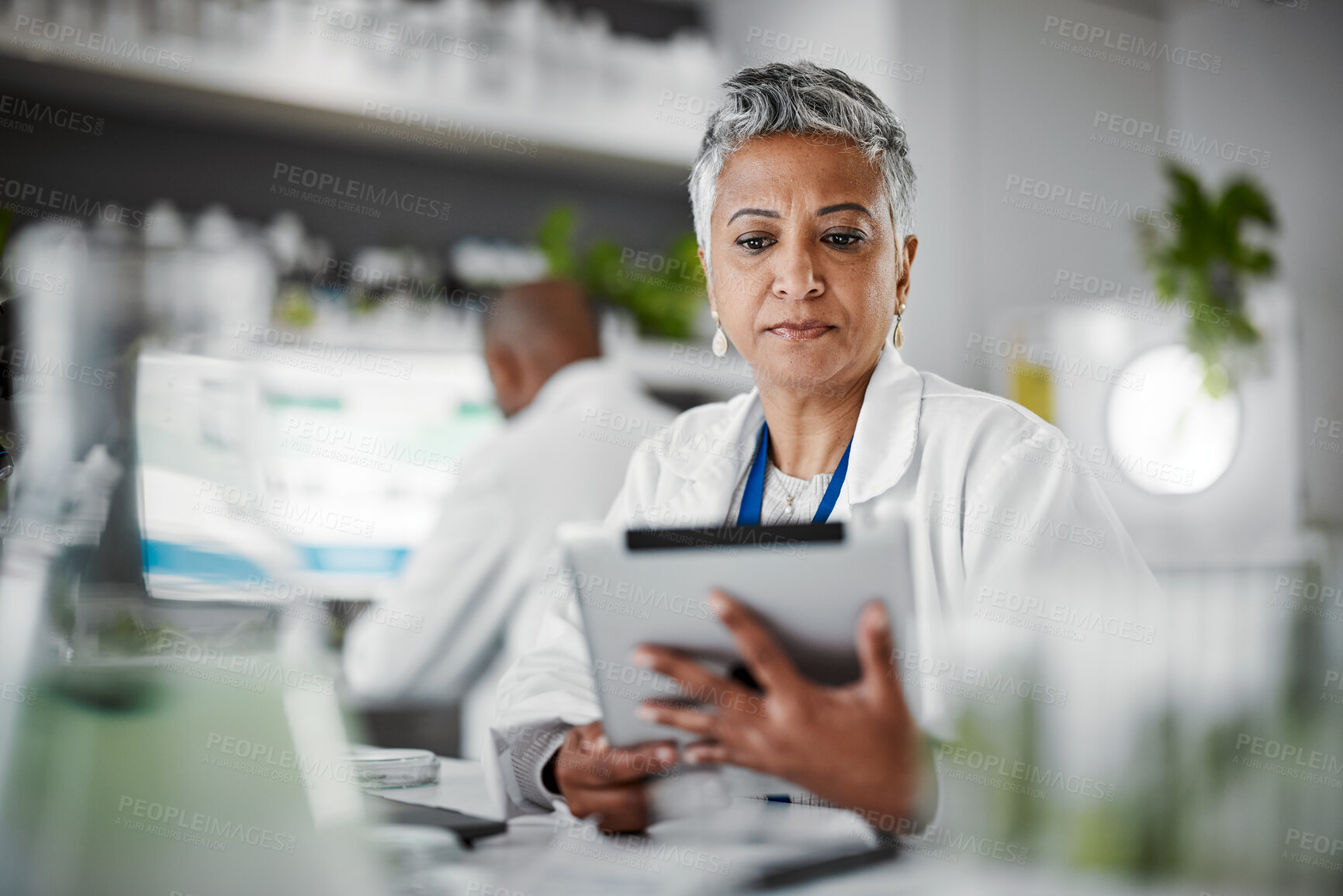 Buy stock photo Woman, tablet or thinking in science laboratory for medical research, innovation or ideas for genetic gmo engineering. Plant scientist, worker or biologist on technology in growth sustainability data