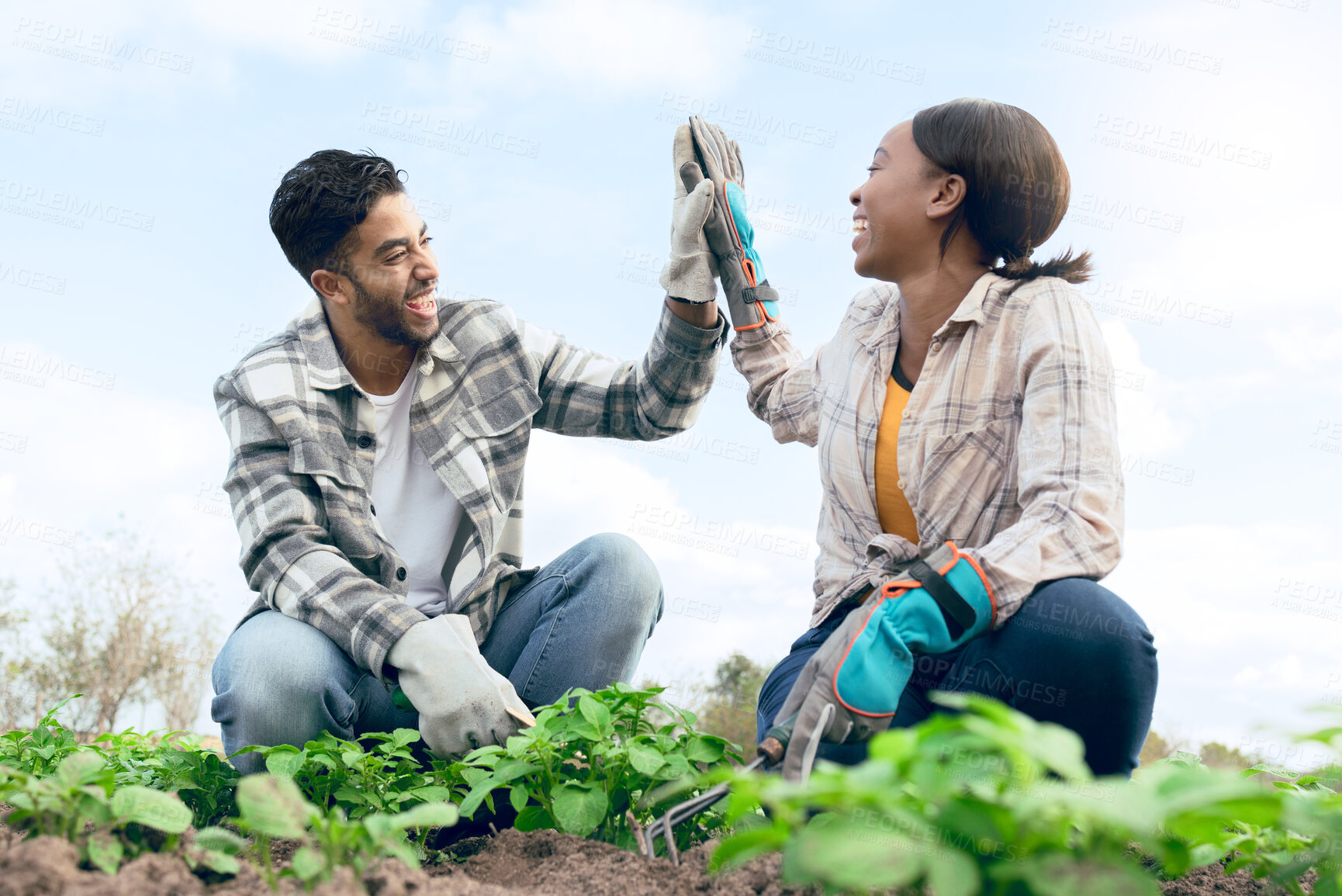 Buy stock photo Farm, high five and man and woman celebrating farming success during harvest in a plantation garden. Multiracial, successful teamwork and celebration of agriculture or eco friendly farming 