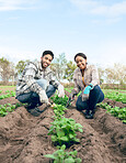 Agriculture, soil and farming couple gardening plants or vegetables growth on an agro, eco friendly land for green supplier market. Countryside, sustainable and farmer people portrait with fertilizer