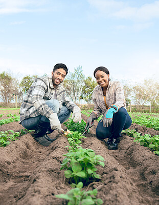 Buy stock photo Agriculture, soil and farming couple gardening plants or vegetables growth on an agro, eco friendly land for green supplier market. Countryside, sustainable and farmer people portrait with fertilizer