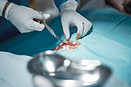 Surgeon hands, blood and doctor in surgery with medical scissors for hospital and clinic emergency. Health service, doctors and wellness care of a healthcare worker working on a patient with tools