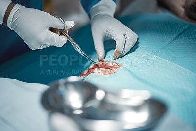 Buy stock photo Surgeon hands, blood and doctor in surgery with medical scissors for hospital and clinic emergency. Health service, doctors and wellness care of a healthcare worker working on a patient with tools