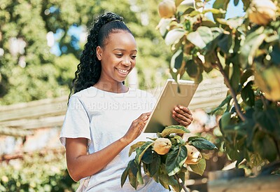 Buy stock photo Black woman, tablet and smile for agriculture, organic production or sustainability at farm. Happy African American female farmer with touchscreen for growth or sustainable farming in the countryside