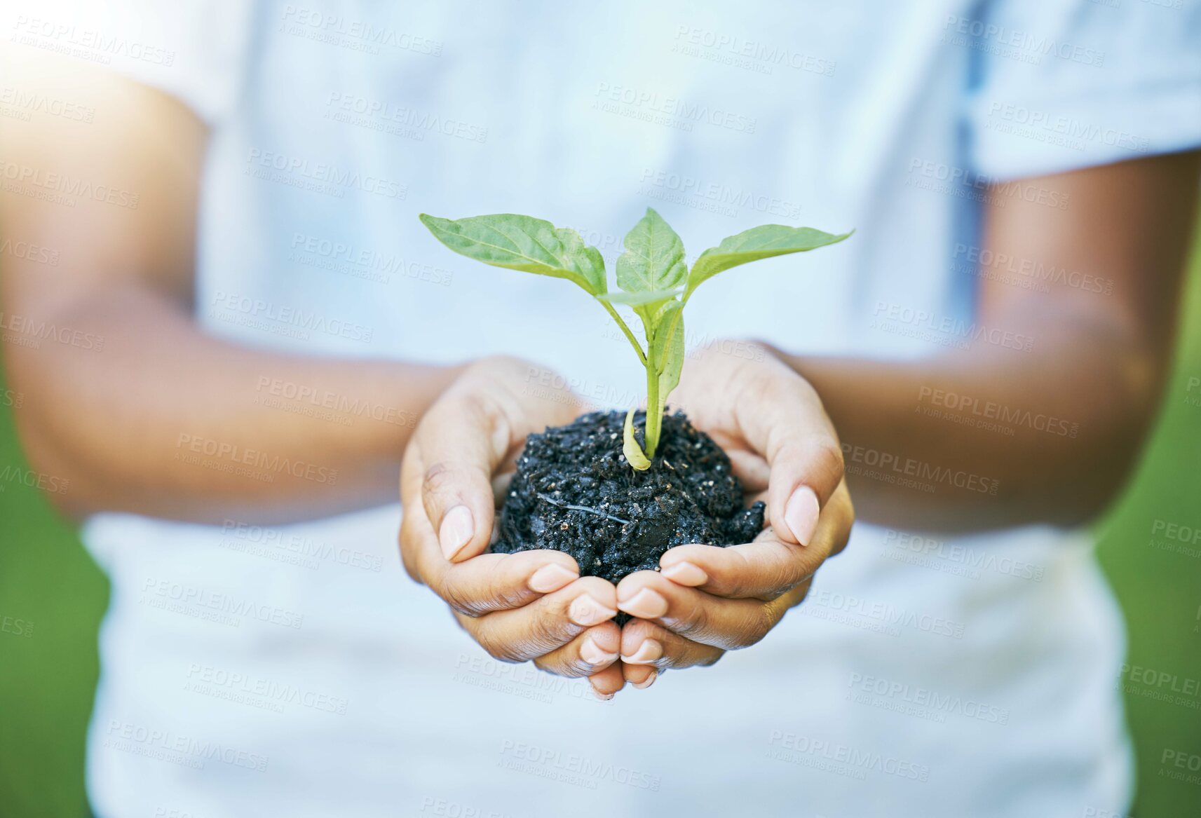 Buy stock photo Hands, plants and growth for earth day, sustainability and volunteering in gardening, agriculture or agro farming hope. Green leaves, eco friendly project and sustainable person, natural soil in palm