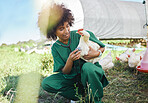 Agriculture, veterinary and black woman with stethoscope and chicken for health check, wellness and inspection. Poultry farming, healthcare and nurse with tool for medical care, vet consult and study