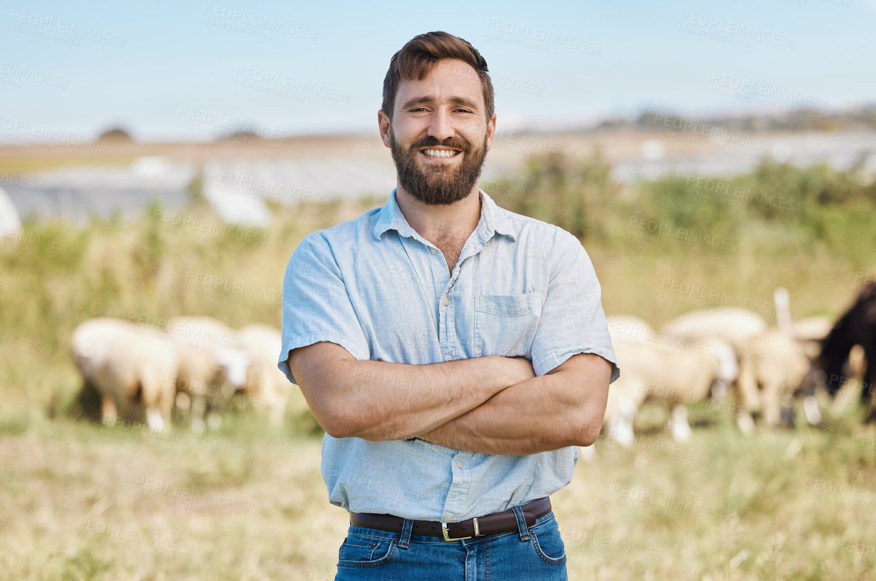 Buy stock photo Man, portrait or arms crossed on livestock agriculture, sustainability environment or nature land in ideas, vision or hope. Smile, happy or confident farmer and animals growth or sheep farming