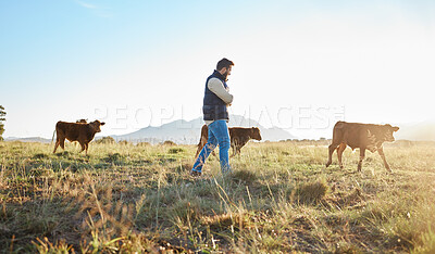 Buy stock photo Man, farmer and animals in the countryside for agriculture, travel or natural environment in nature. Male traveler on farm walking on grass field with livestock leading the herd of cattle or cows