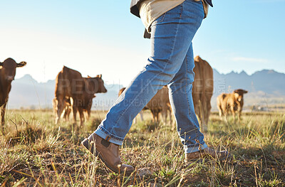 Buy stock photo Walking farmer, cows and countryside with farming shoes in a field with animals. Sustainability worker, outdoor and nature walk of an employee on grass in the sun for agriculture and environment job