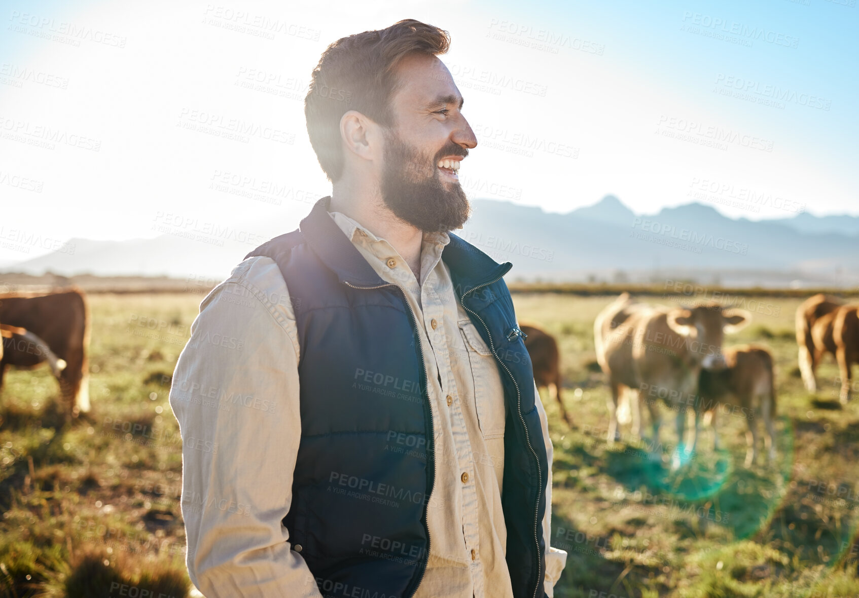 Buy stock photo Sustainability, farming and man with cows on field, happy farmer in countryside with mountains, dairy and beef production. Nature, meat and milk farm, sustainable business in eco agriculture and food