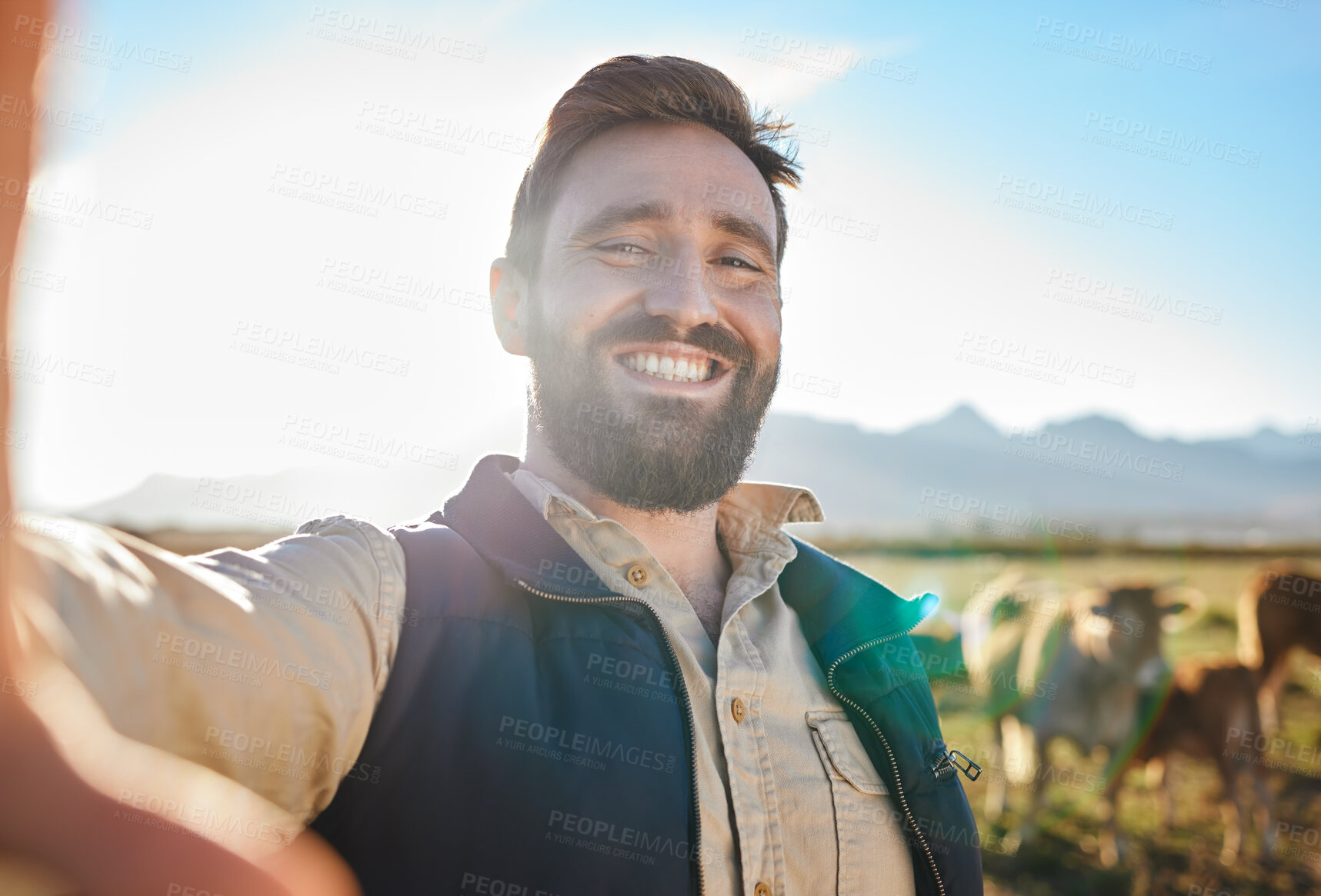 Buy stock photo Agriculture, cow or man for selfie on farm for social media, eco friendly blog or agro small business advertising. Marketing smile, happy farmer portrait or video call for sustainability of animals