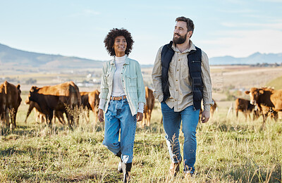 Buy stock photo Agriculture, black woman and man on farm, cows for beef production and walking countryside. Farming, African American female, happy male  and environment for diary, sustainability and cattle farmers 
