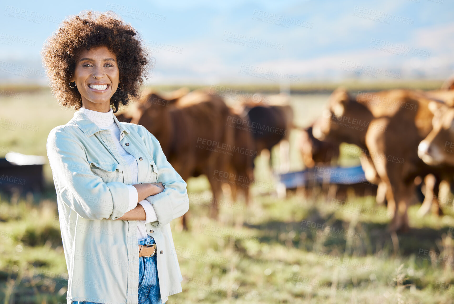 Buy stock photo Smile, cow and agriculture woman on farm for sustainability, production or thinking industry growth. Agro, arms crossed or management of farmer on countryside field for dairy, animals for nature