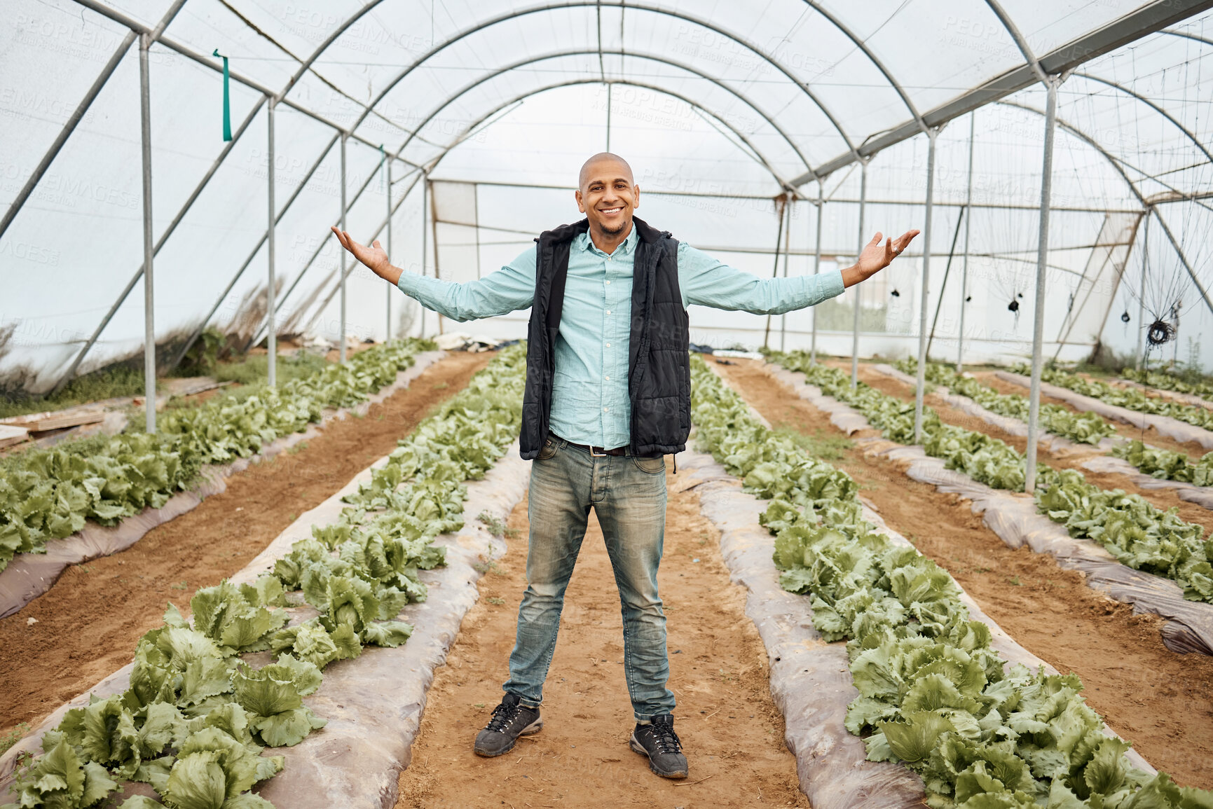 Buy stock photo Farmer, portrait or arms up in farming success, greenhouse vegetable harvest or agriculture land growth in sustainability field. Smile, happy or winner farming man and pride hands for lettuce victory