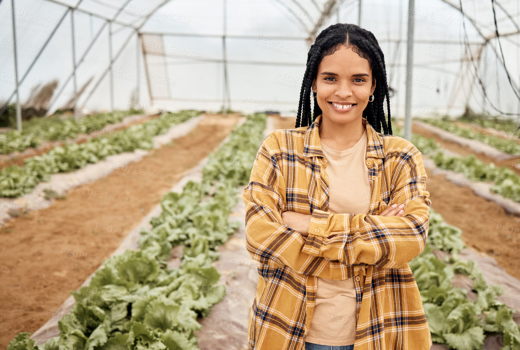 Buy stock photo Black woman, farmer smile in portrait with agriculture and farming in greenhouse, sustainability with crop harvest. Environment, farm and fresh vegetable produce, green and eco friendly production