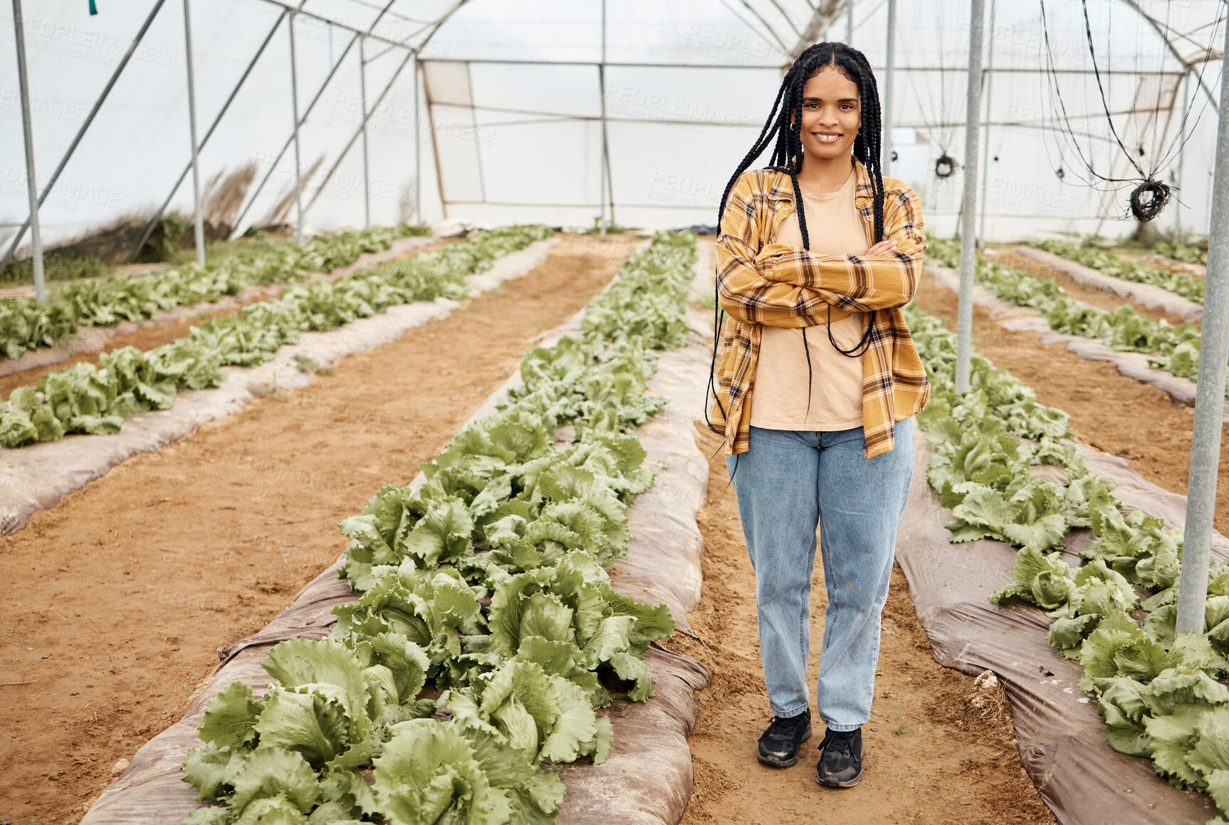 Buy stock photo Farmer, portrait or arms crossed in greenhouse, agriculture field or sustainability nature with lettuce growth goals. Smile, happy or confident woman with farming mindset, vegetables success or ideas