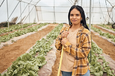 Buy stock photo Black woman, farmer in portrait on farm and farming in greenhouse, sustainability with crop harvest. Environment, agriculture and fresh vegetable produce, green lettuce and eco friendly production