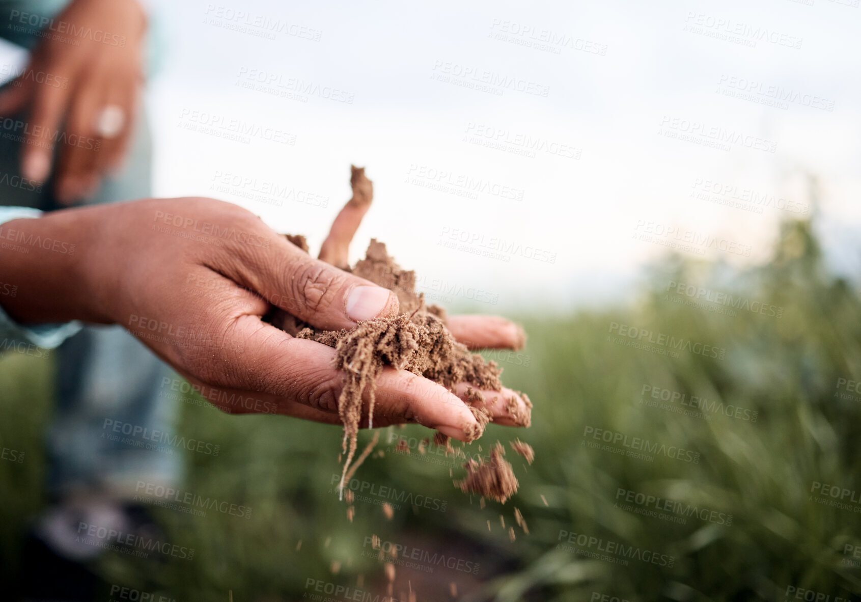 Buy stock photo Black man, hands or checking soil in farming field, agriculture land or countryside sustainability in vegetables growth success. Zoom, farmer or gardening worker holding fertilizer, mud or earth dirt